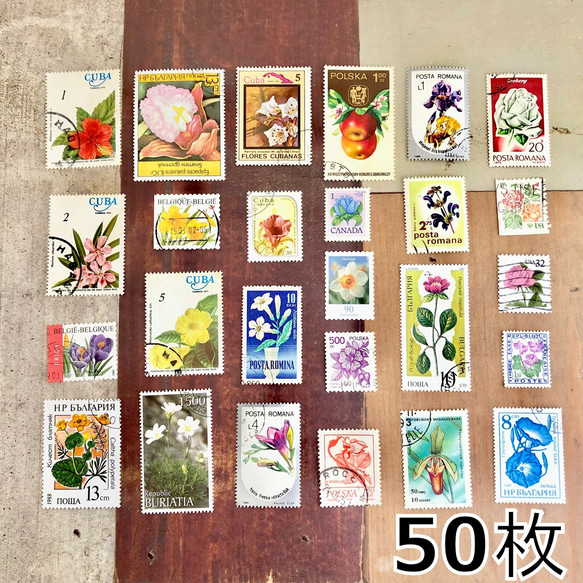 113・海外切手 花・植物セット 50枚 切手 コレクション