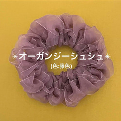 オーガンジーシュシュ のおすすめ人気通販 検索結果｜Creema(クリーマ