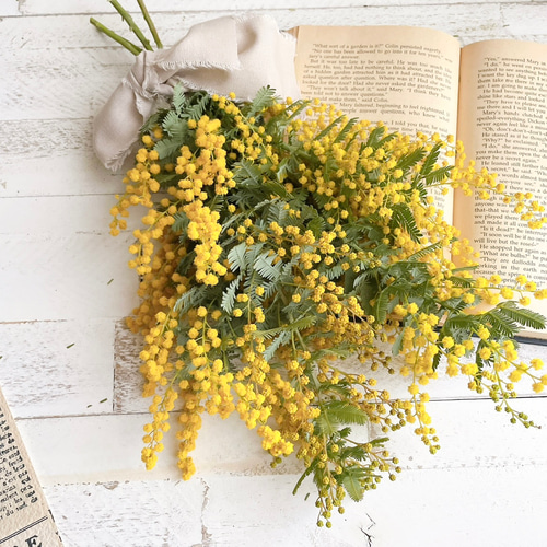 ミモザとユーカリのナチュラルスワッグ フレッシュミモザとユーカリのスワッグ＊サイズアップ可 スワッグ