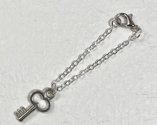 【超レア品の為値下げ不可】氣志團 櫻十字ネックレス シルバーチャーム シルバー アポロチャーム ネックレス 50cm – GARAGE UDAGAWA
