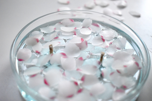 花筏（はないかだ） - 水面に浮かぶ桜キャンドル - 10枚目の画像