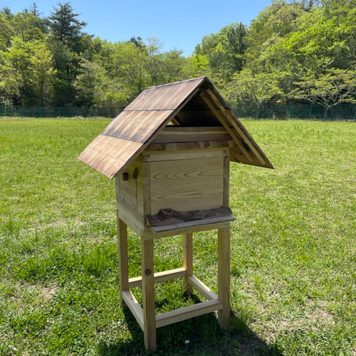 日本みつばち用 飼育箱 点検しやすい 巣枠式巣箱 杉材 桜材 観察 日本みつばち用 飼育箱 点検しやすい 巣枠式巣箱 杉材 桜材 観察