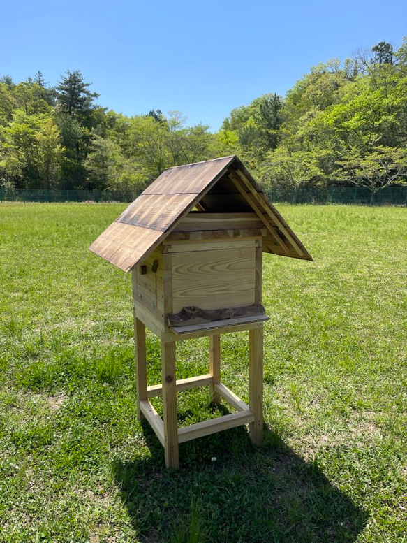 日本みつばち用 飼育箱 点検しやすい 巣枠式巣箱 杉材 桜材 観察窓1カ所付 三角バー巣枠9枚 台と屋根付 フルセット 20枚目の画像