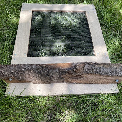 日本みつばち用 飼育箱 点検しやすい 巣枠式巣箱 杉材 桜材 観察窓1