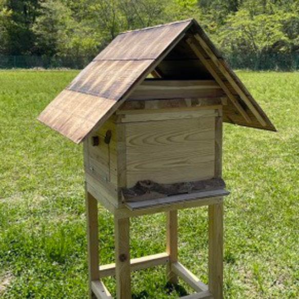 日本みつばち用 飼育箱 点検しやすい 巣枠式巣箱 杉材 桜材 観察窓1カ所付 三角バー巣枠9枚 台と屋根付 フルセット 1枚目の画像