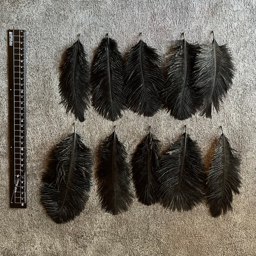 ❤️【オーストリッチ 各色】❤️再入荷❤️ダチョウ ❤️フェザー 羽