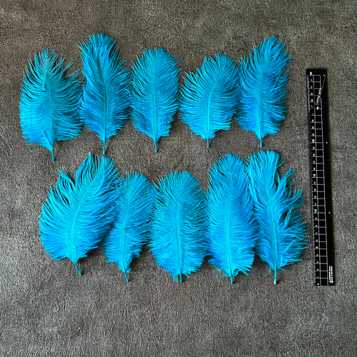 オーストリッチ　フェザー　羽　6本　鳥の羽　オーストリッチフェザー　ウェディング familiamia_out-hn-102