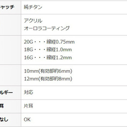 つけっぱなし オーロラボール セカンドピアス 3mm 純チタン 太軸 片耳 【2-11】 BlueHill 5枚目の画像