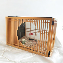 62《キャットハウス》りんご箱 ネコ 猫 犬 小屋 ケージ 木箱 ペット