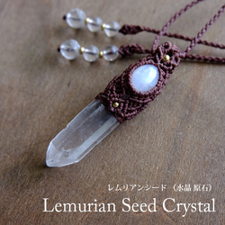 978bed2320c1f11b0310c0c937b831