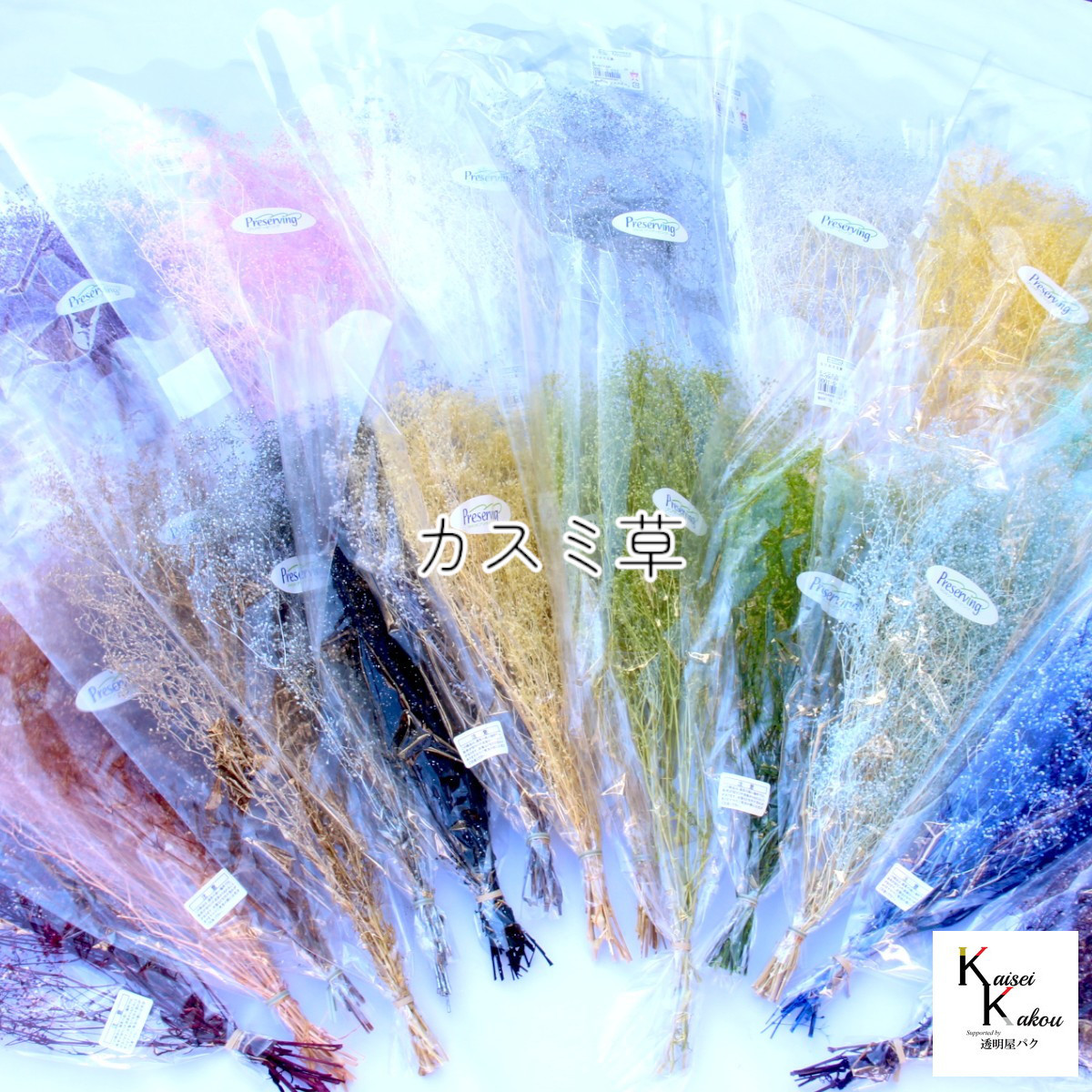 大地農園！プリザーブドフラワー「福袋　5000円　千日紅・アジサイ・カスミ草」送料無料　花材　ミニカスミ草　紫陽花