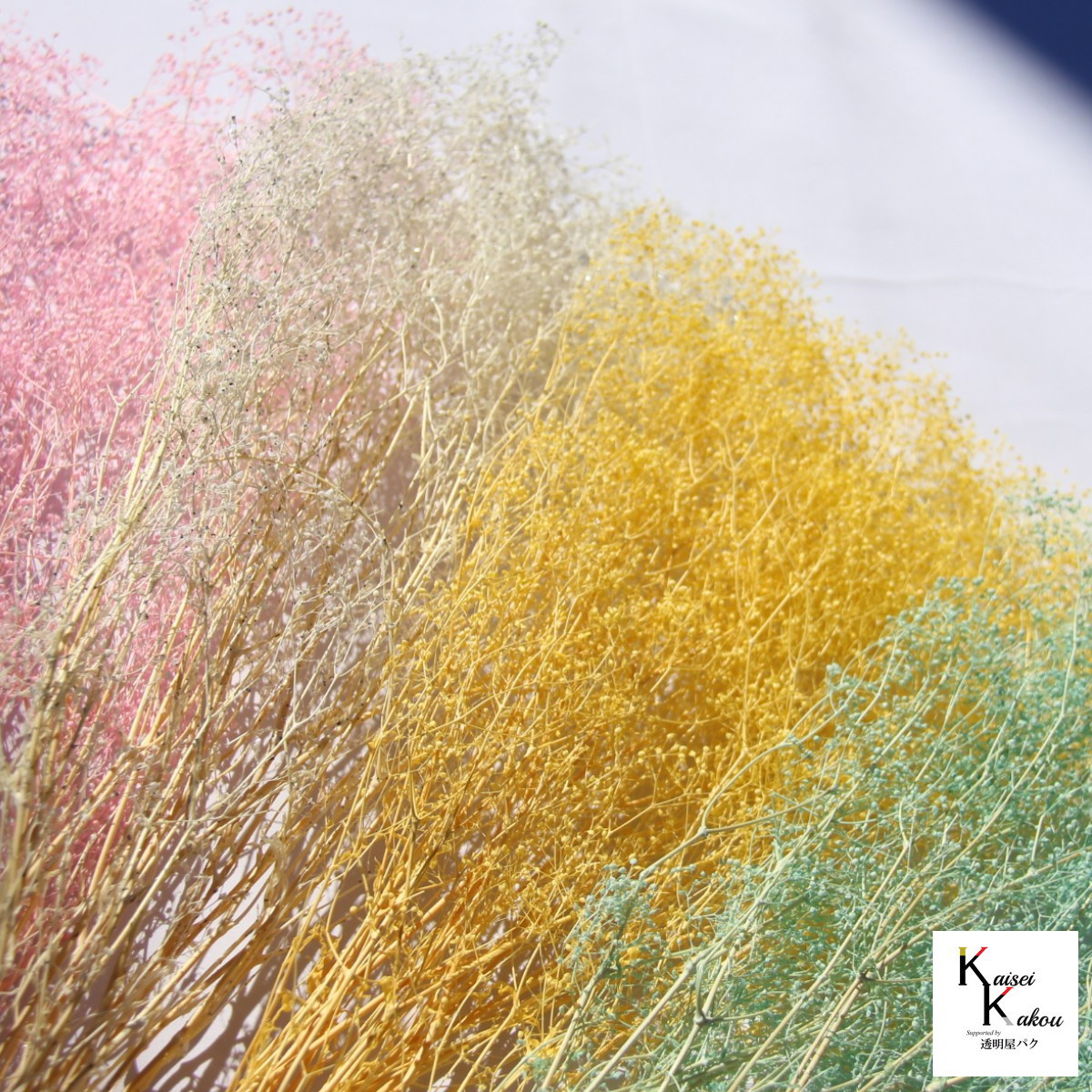 大地農園！プリザーブドフラワー「福袋　5000円　千日紅・アジサイ・カスミ草」送料無料　花材　ミニカスミ草　紫陽花