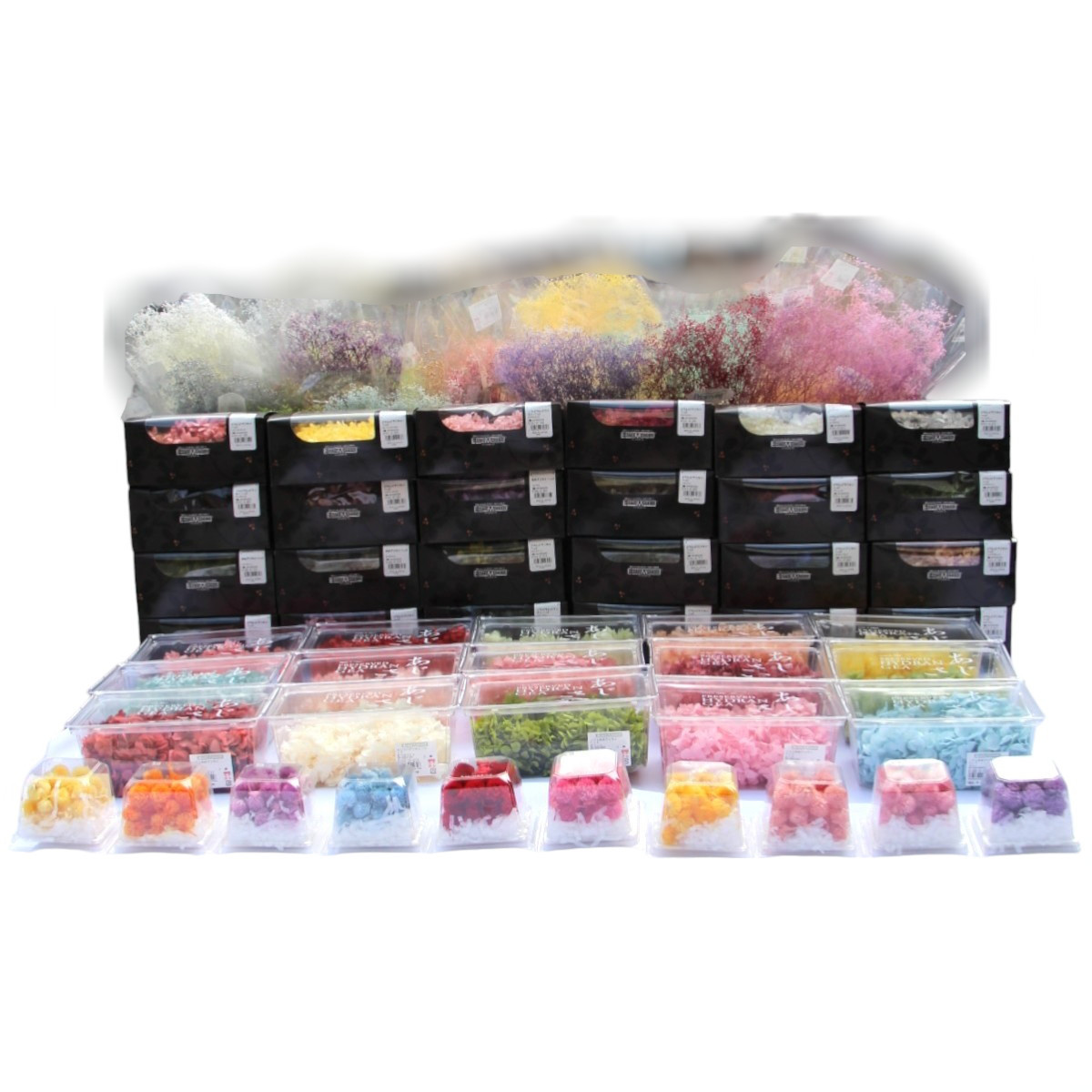 大地農園！プリザーブドフラワー「福袋　5000円　千日紅・アジサイ・カスミ草」送料無料　花材　ミニカスミ草　紫陽花