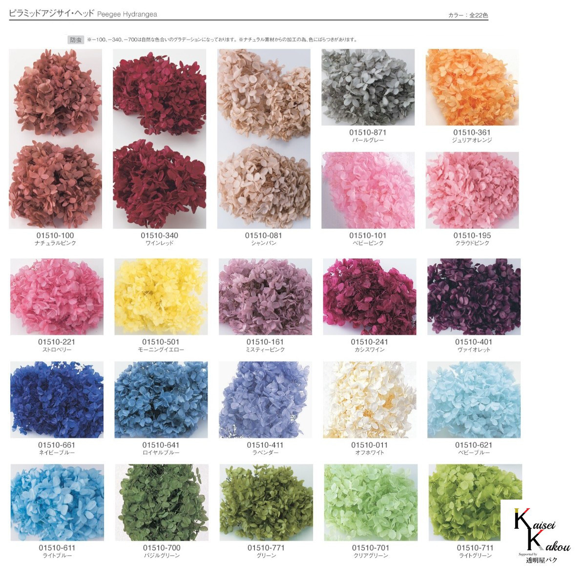 大地農園！プリザーブドフラワー「福袋　5000円　千日紅・アジサイ・カスミ草」送料無料　花材　ミニカスミ草　紫陽花