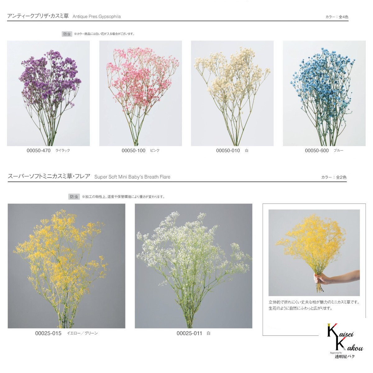 大地農園！プリザーブドフラワー「福袋　5000円　千日紅・アジサイ・カスミ草」送料無料　花材　ミニカスミ草　紫陽花