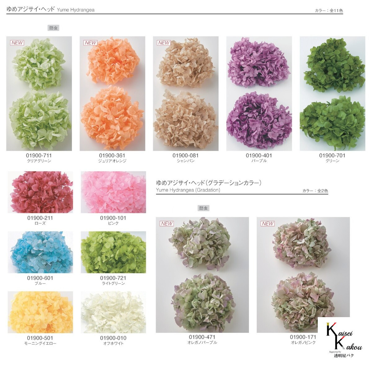 大地農園！プリザーブドフラワー「福袋　5000円　千日紅・アジサイ・カスミ草」送料無料　花材　ミニカスミ草　紫陽花