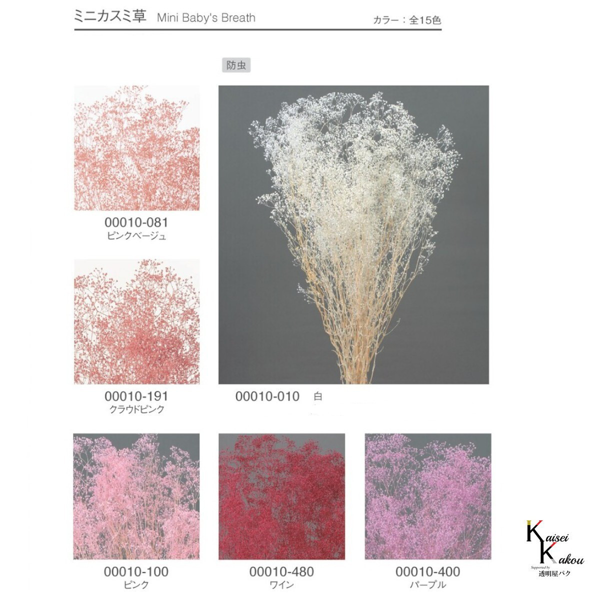 大地農園！プリザーブドフラワー「福袋　5000円　千日紅・アジサイ・カスミ草」送料無料　花材　ミニカスミ草　紫陽花