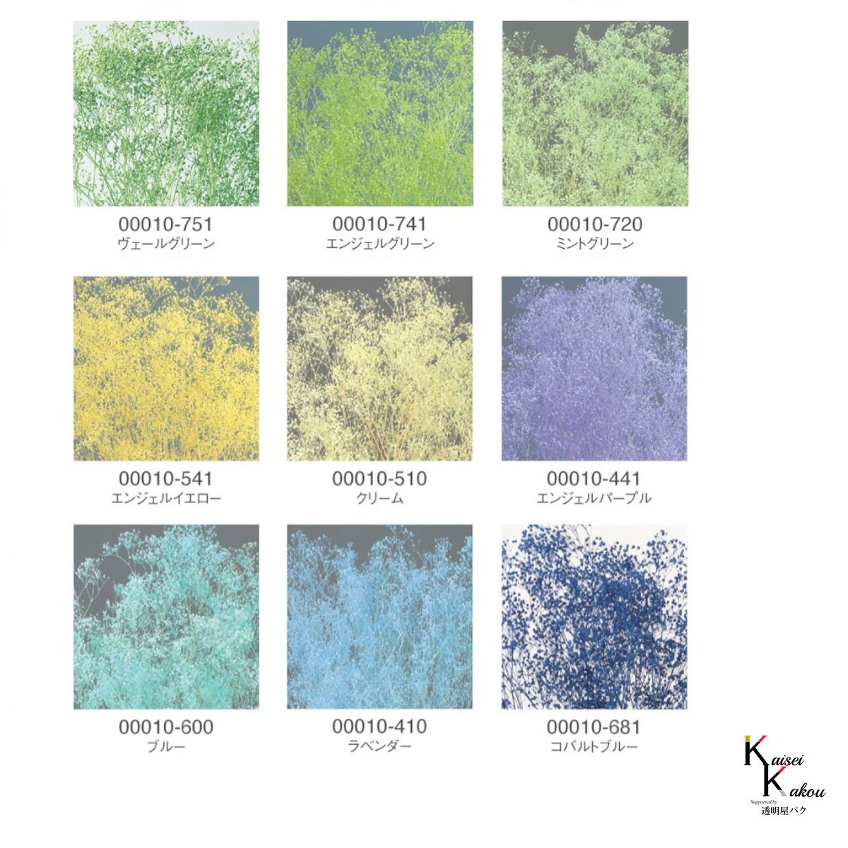 大地農園！プリザーブドフラワー「福袋　5000円　千日紅・アジサイ・カスミ草」送料無料　花材　ミニカスミ草　紫陽花