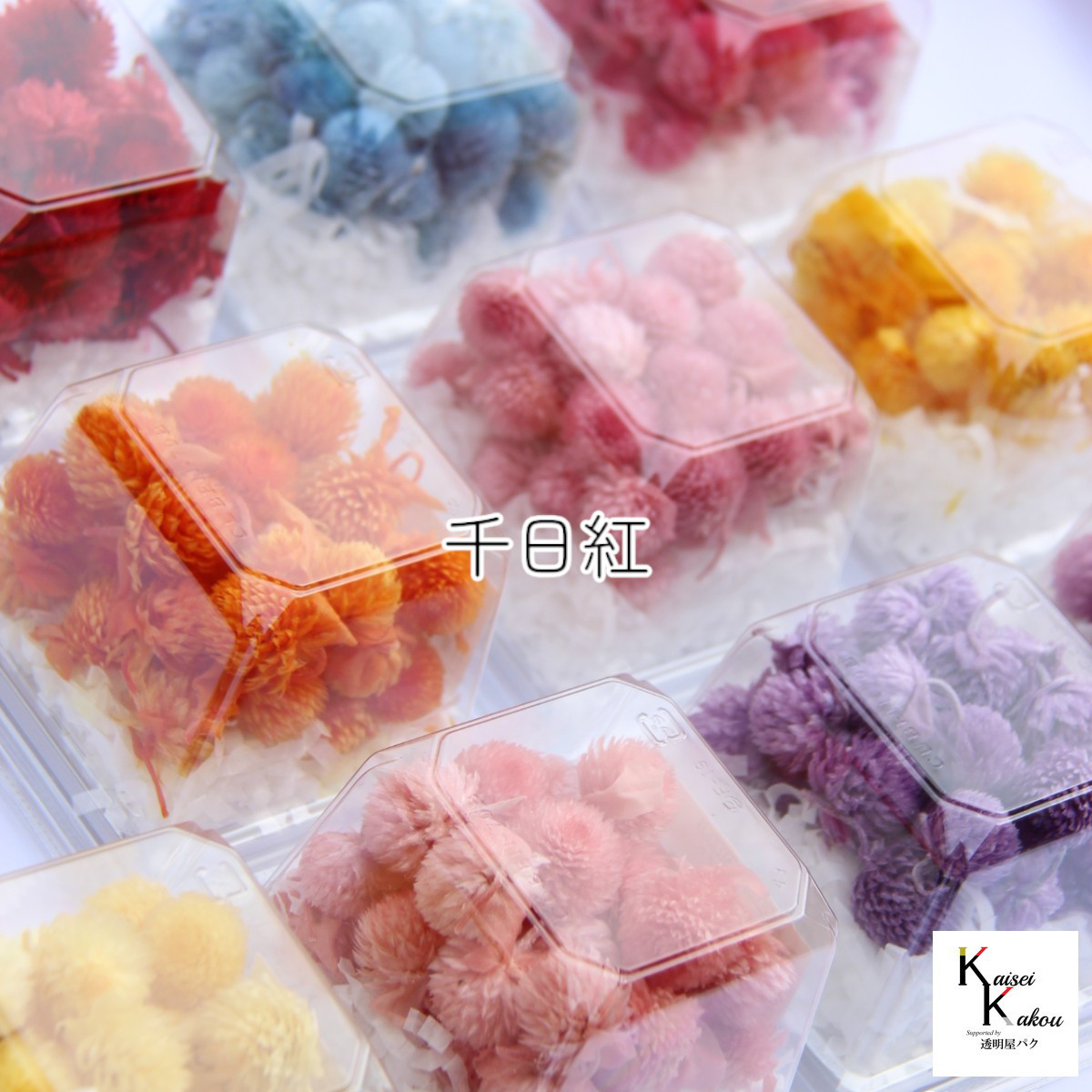 大地農園！プリザーブドフラワー「福袋　5000円　千日紅・アジサイ・カスミ草」送料無料　花材　ミニカスミ草　紫陽花