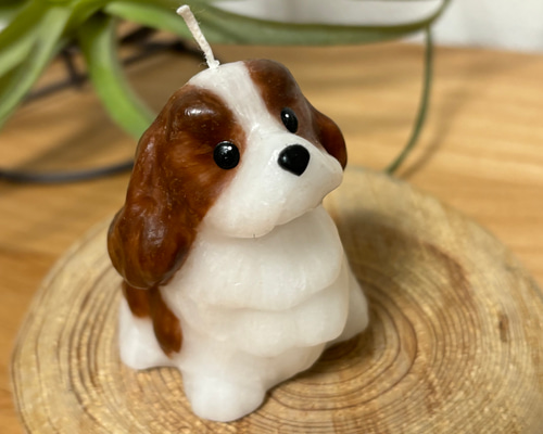 わんちゃんキャンドル＊キャバリア キング チャールズ スパニエル