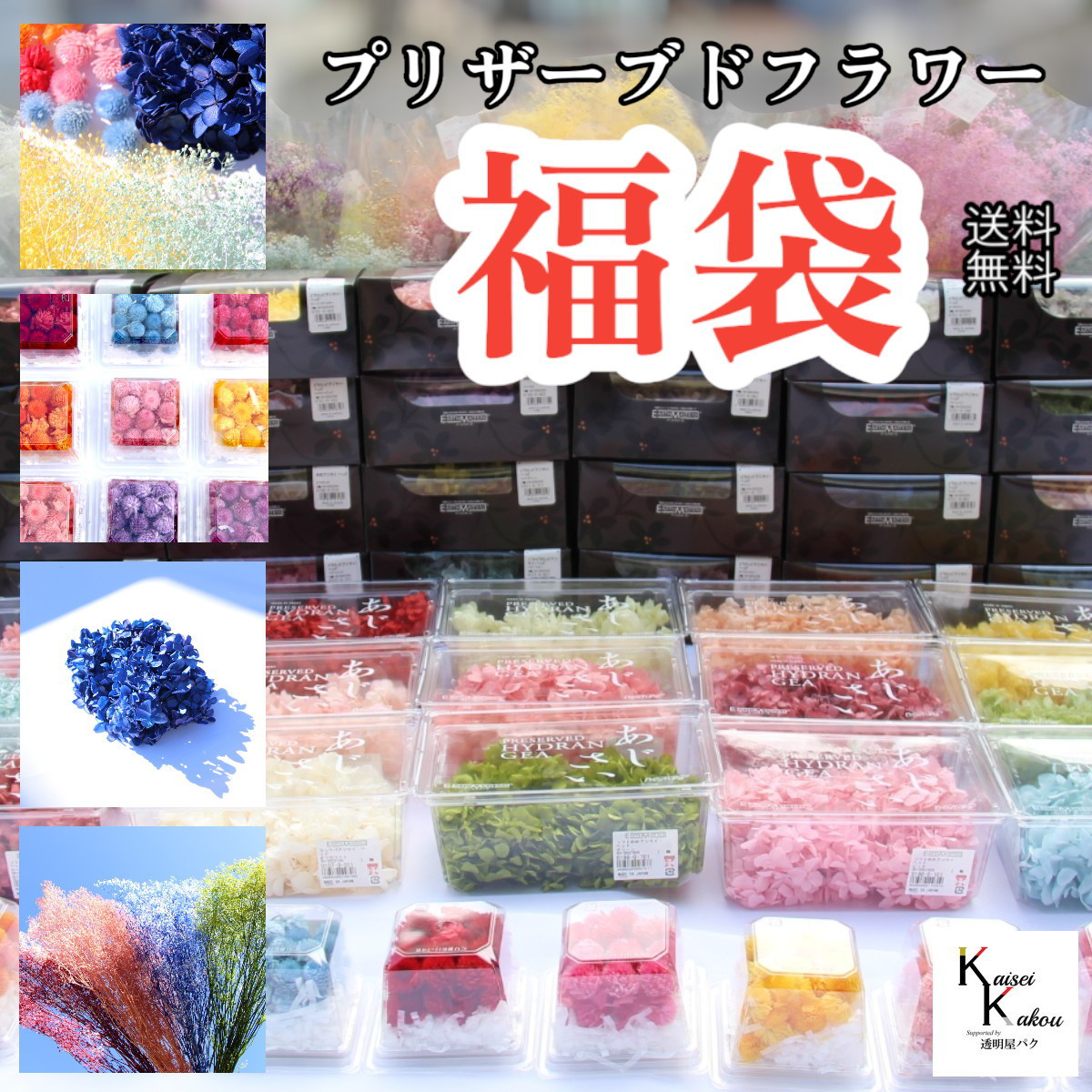 大地農園！プリザーブドフラワー「福袋　61000円　千日紅・アジサイ・カスミ草」送料無料　花材　ミニカスミ草　紫陽花