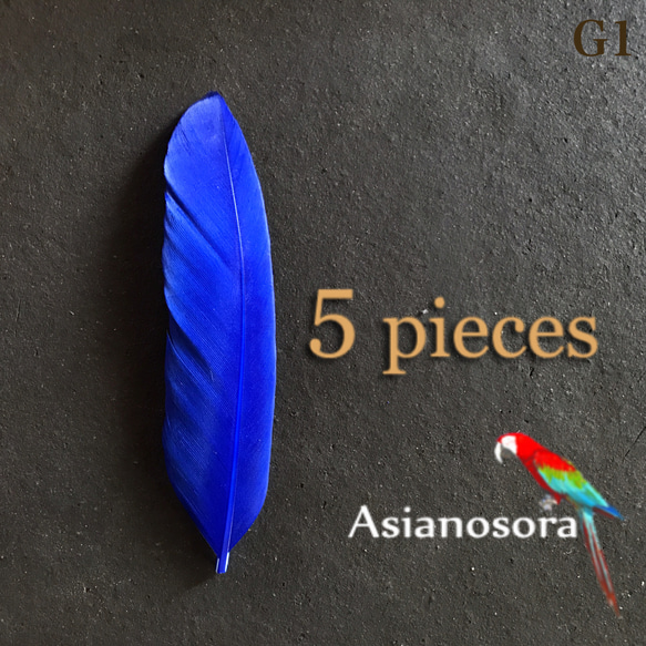 ❤️【G1青】❤️5枚 ガチョウ 羽根 フェザー 鳥 羽 アクセサリー