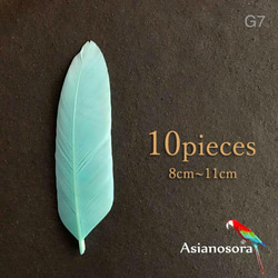 ★ABC陵央商品★天然　鳥　羽・羽根　106枚★消毒済★ 5cf8cae6fc3534f222d2b8f5a4d64d