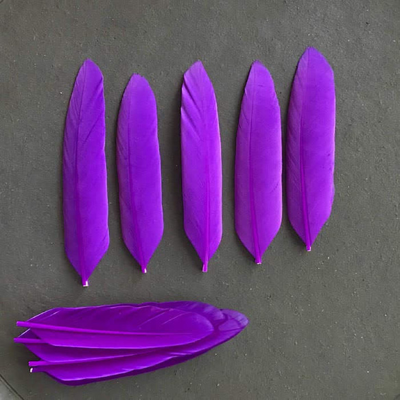 ❤️【G19紫】❤️5枚 ガチョウ 羽根 フェザー 鳥 羽 アクセサリー パーツ 3枚目の画像