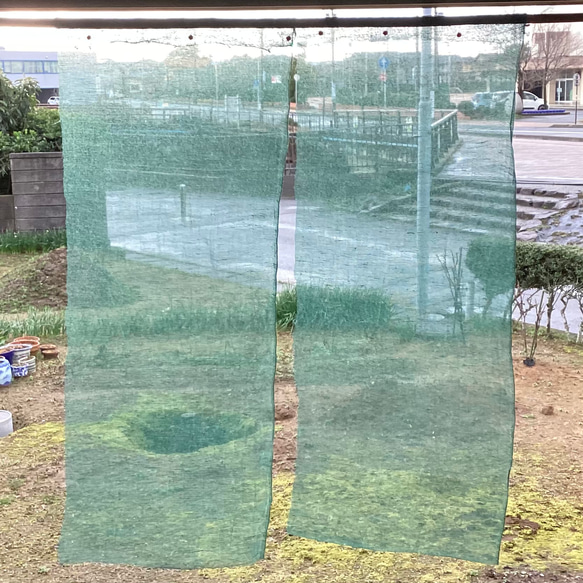 蚊帳　ほどき　緑  (7) 1枚目の画像