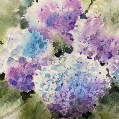 絵画　水彩画　あじさい 注文制作します 水彩画原画 あじさい・鎌倉 明月院 ＃511