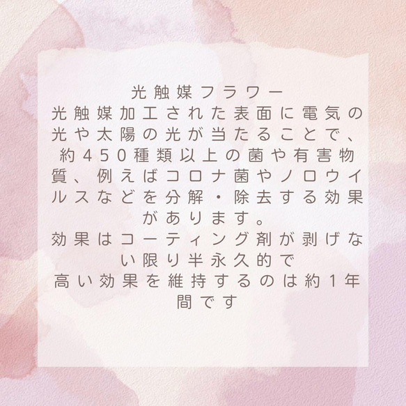 光触媒　桜のお花見リース　フライングリース　桜リース　アーティフィシャルフラワー 10枚目の画像
