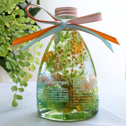 ビタミンカラーの ミモザハーバリウム  プレゼント ホワイトデー 入学祝い  卒業祝い 就職祝い 母の日 4枚目の画像