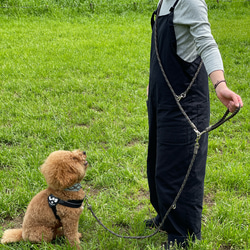 【大型犬用ショルダーリード】　カフェリード　パラコード　ランニングリード　リード　犬　dog 多頭　小型　中型　大型 2枚目の画像