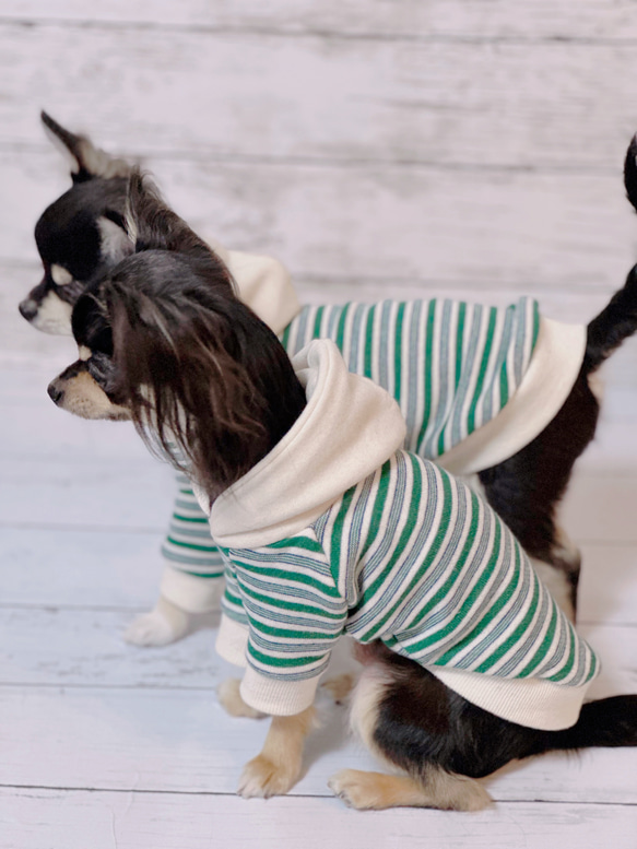 【超小型犬服】・ボーダーパーカー・フレッピー裏毛 8枚目の画像