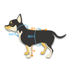【超小型犬服】・ボーダーパーカー・フレッピー裏毛 6枚目の画像