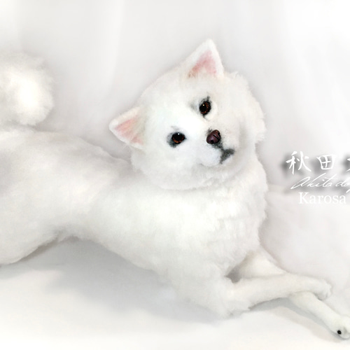秋田犬（2頭） 成犬白 可動 ＆ パピー白 子犬 セット 羊毛