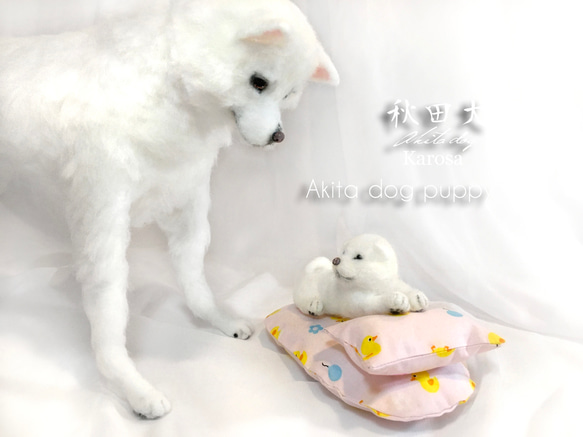 秋田犬（2頭） 成犬白 可動 ＆ パピー白 子犬 セット 羊毛フェルト アートドール 和犬 大型犬 1枚目の画像