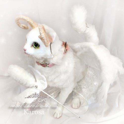 エンジェルシープキャット ホワイトウィングキャット 白猫 首輪