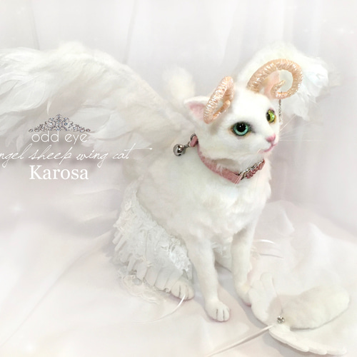 エンジェルシープキャット ホワイトウィングキャット 白猫 首輪 エンジェルシープキャット ホワイトウィングキャット 白猫 首輪