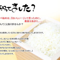 桐製 米びつ 10kgサイズ 焼桐 4枚目の画像