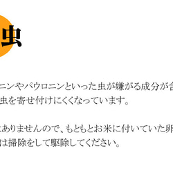 桐製 米びつ 10kgサイズ 焼桐 9枚目の画像