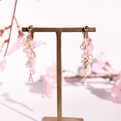 2way tiny bloom ミディアム “桜-sakura-” イヤリング/ピアス 1枚目の画像
