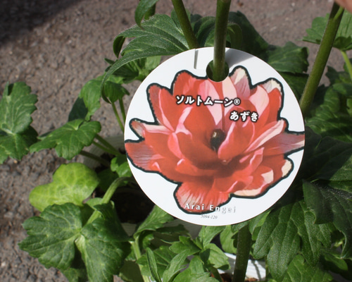 f6edfd449307edbe642b8b4304029c