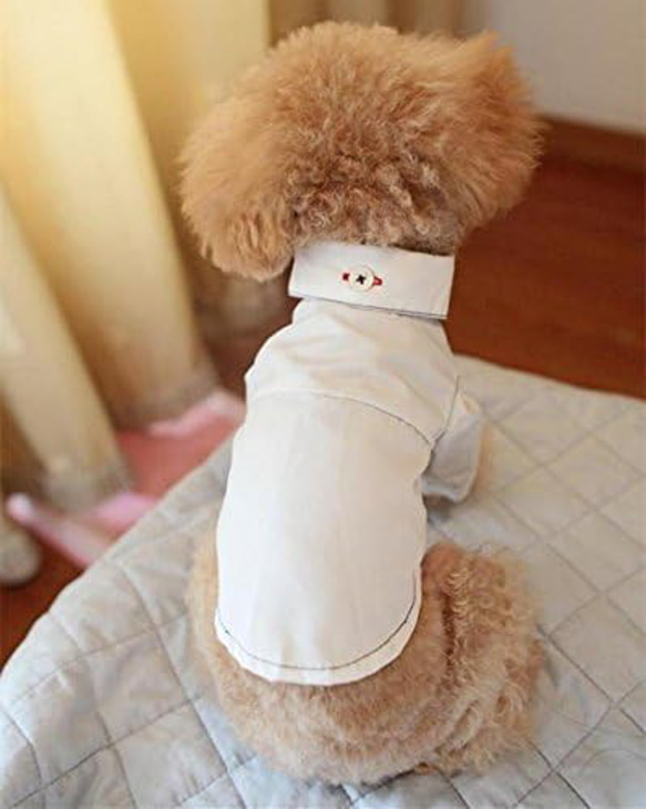 犬服 ペットシャツ 犬猫用シャツ リングドッグ ポロシャツ ドッグウェア 襟あり 白シャツ 黒シャツ ch-654 3枚目の画像