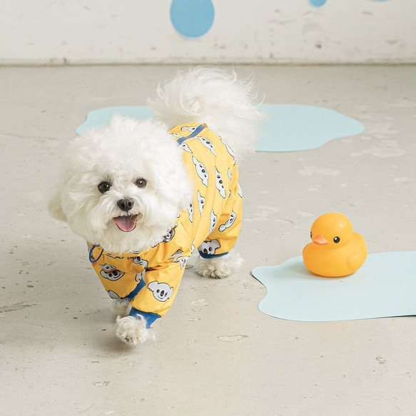 犬服 犬用レインコート カッパ かっぱ 防水 春 秋 冬 梅雨 アウター かわいい ペット用品 お散歩 ch-857 1枚目の画像