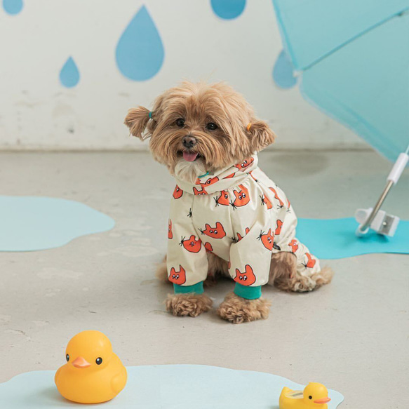 犬服 犬用レインコート カッパ 雨具 防雨 防風 春 秋 冬 梅雨 アウター 防寒着 かわいい ペット用品 お散歩 2枚目の画像