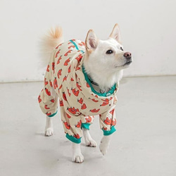 犬服 犬用レインコート カッパ 雨具 防雨 防風 春 秋 冬 梅雨 アウター 防寒着 かわいい ペット用品 お散歩 5枚目の画像