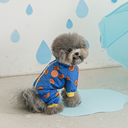 犬服 犬用レインコート 雨具 かっぱ 防雨 防風 春 秋 冬 梅雨 アウター 防寒着 かわいい ペット用品 お散歩 1枚目の画像