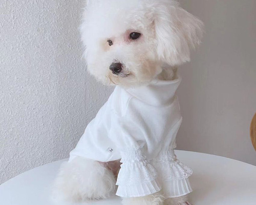 No.31 ハンドメイド犬服 フリル付きハイネックカットソー 🗓️ 2025.09