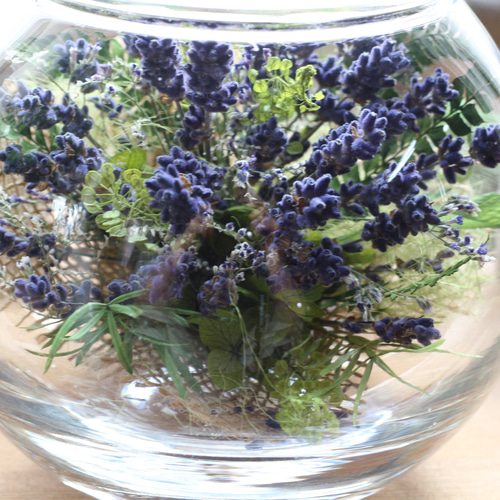 ❤ボトルフラワー・ラベンダー（ドライフラワー）（M)誕生日・お見舞い